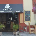 Amatle Cafe Organico & Hostel