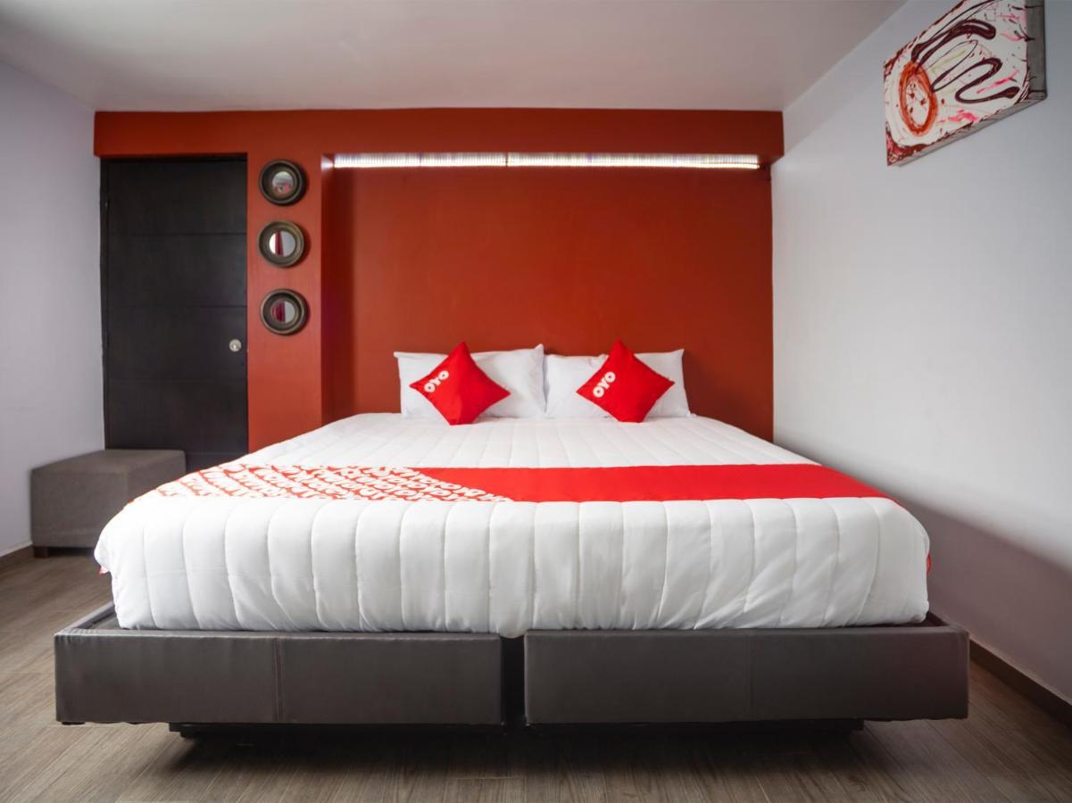 Adhoc Express Hotel Monterrey