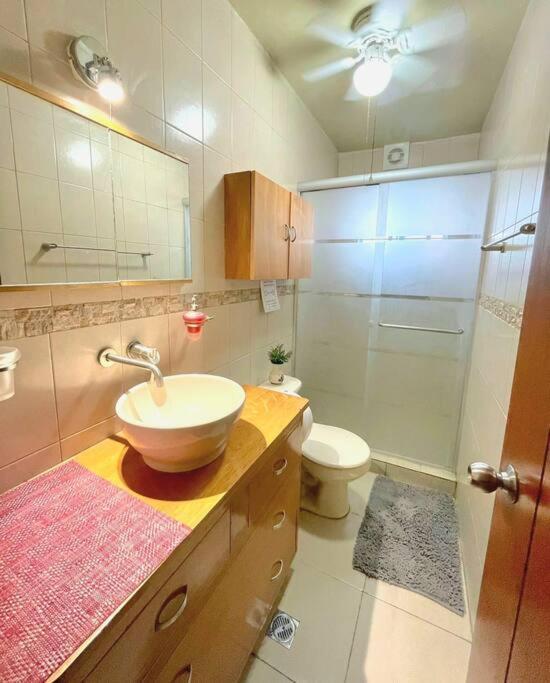 Hermoso Departamento En Paseo Santa Lucia