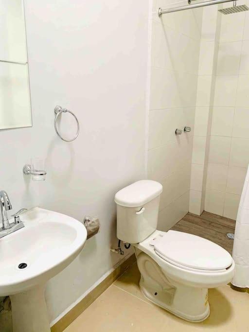 Apartamento Loft Hermoso Con Estacionamiento Gratuito *