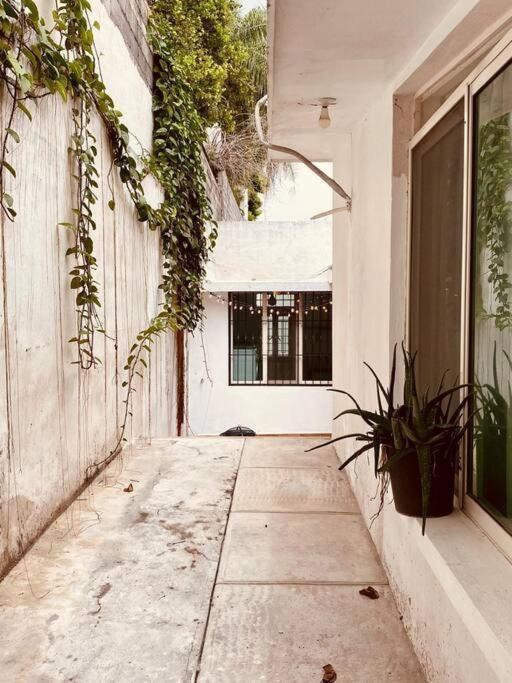 Apartamento Casa Luna Monterrey