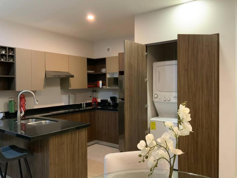 Estilo Minimalista Frente Arena Y Parque Fundidora Apartment