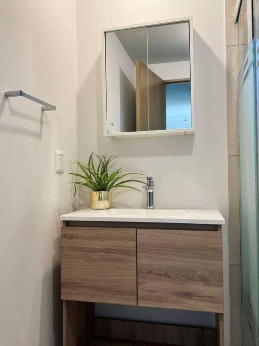 Apartamento En Departamento En Centro Mty *