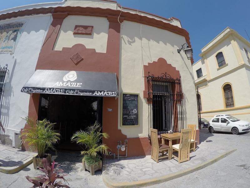 Hostal Amatle Cafe Organico & Monterrey