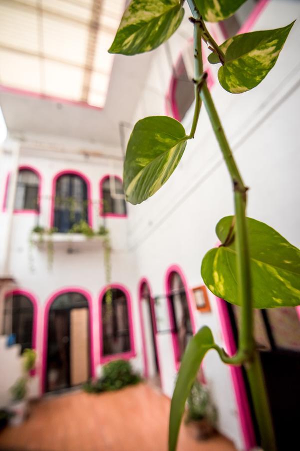 Hostal Taiyari Monterrey