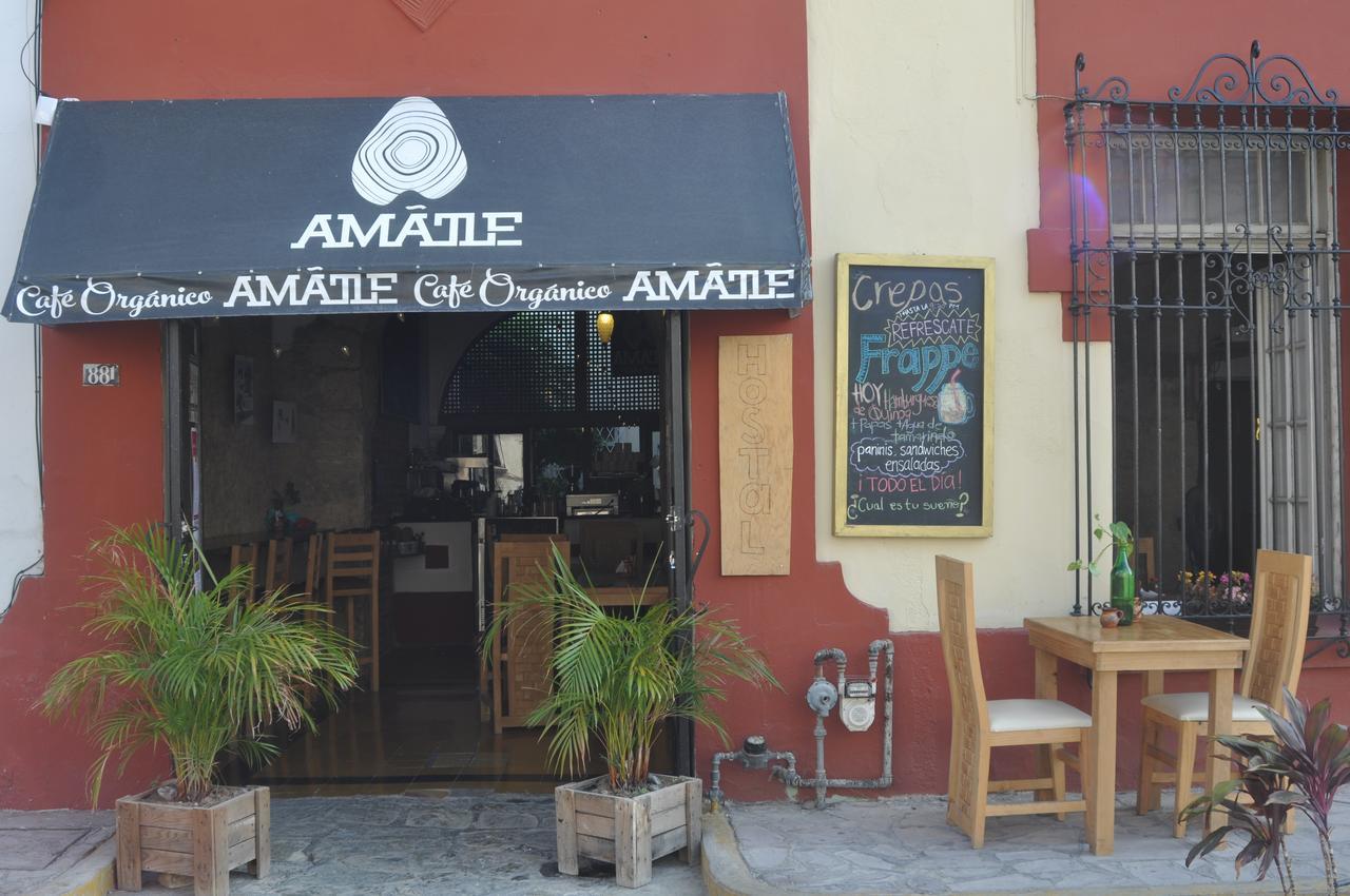 Amatle Cafe Organico & * Monterrey
