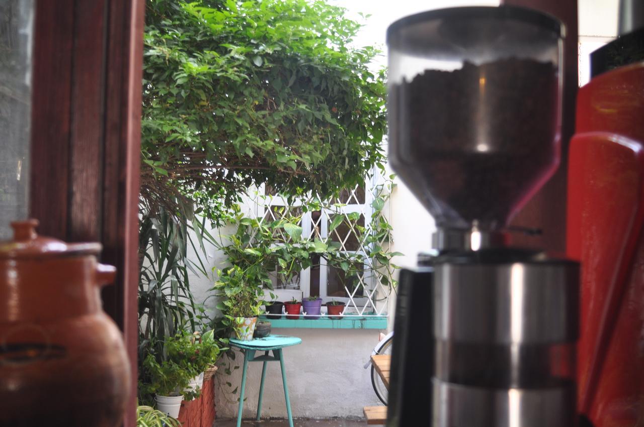 Amatle Cafe Organico & Hostal