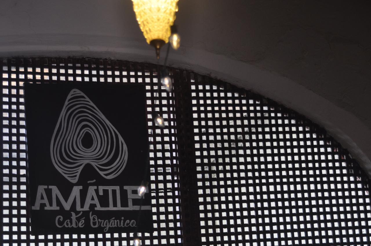 Hostal Amatle Cafe Organico & Monterrey