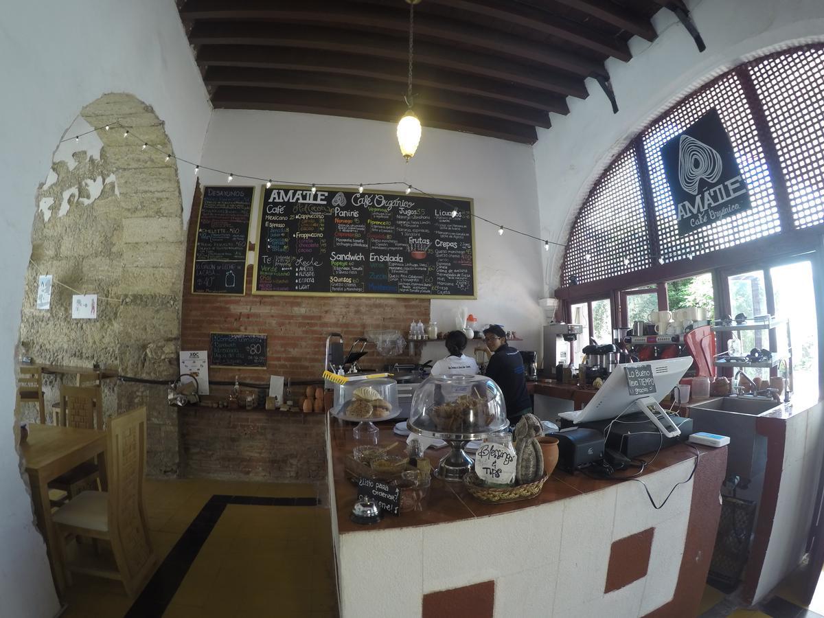 Amatle Cafe Organico & Hostal Monterrey