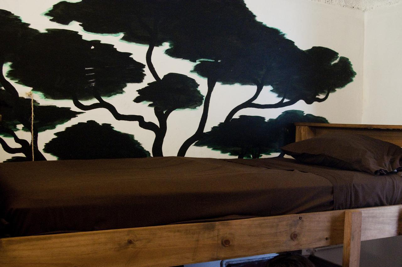 Hostal Amatle Cafe Organico & Monterrey