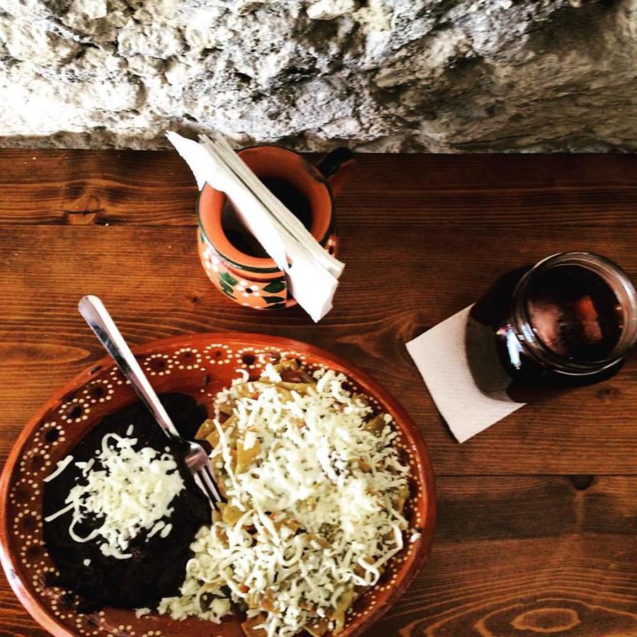Amatle Cafe Organico & Hostal Monterrey