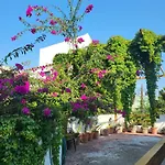 Habitacion En Obispado