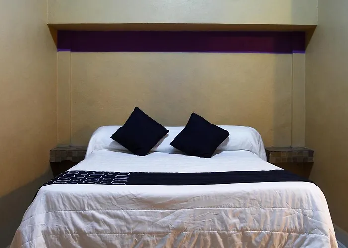Hotel Platino