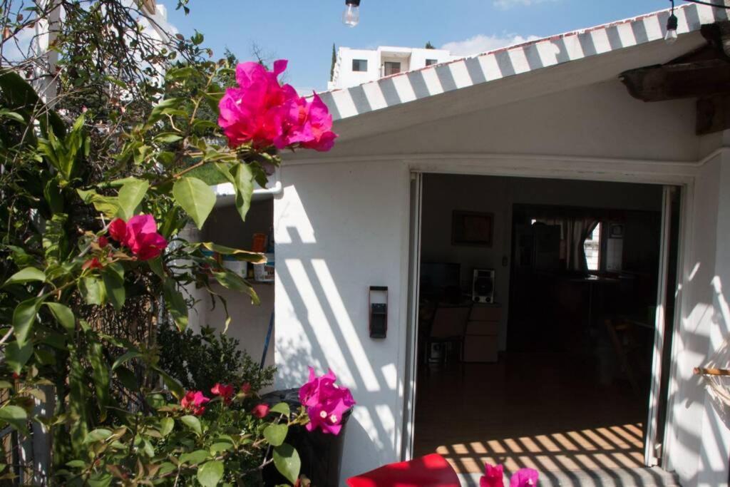 Сasa de vacaciones La Casa Del árbol *