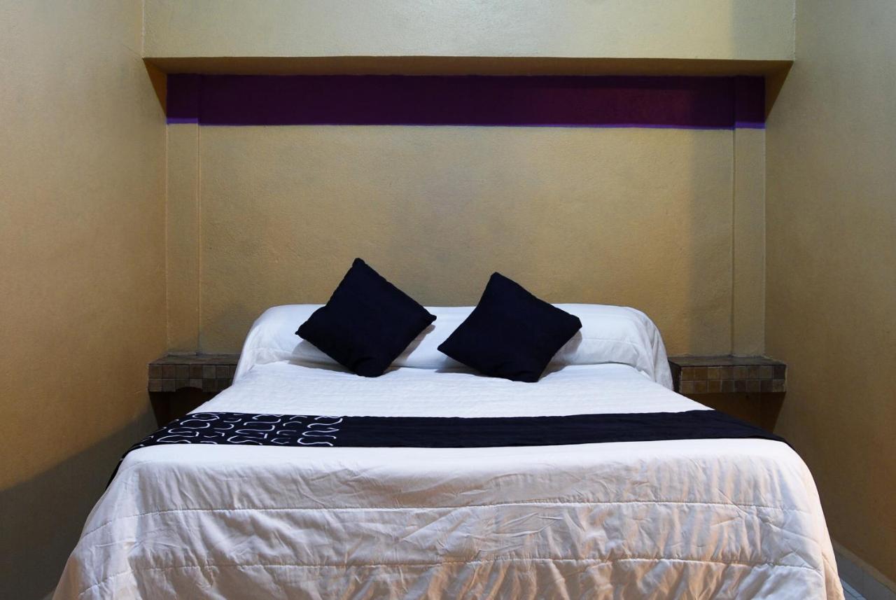 Hotel Platino *