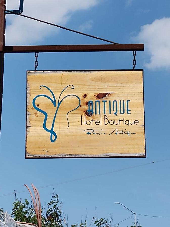 Antique Boutique Barrio Antiguo