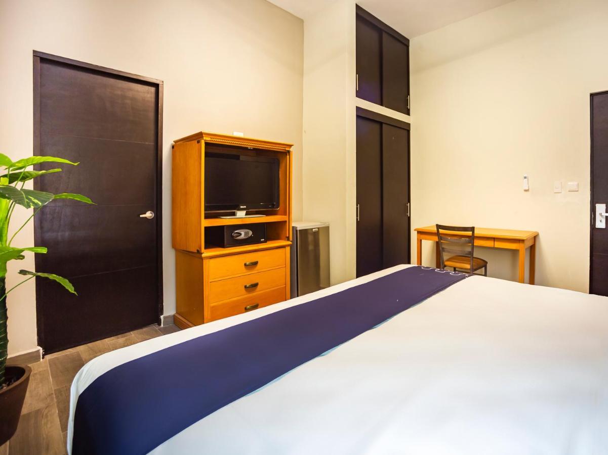 Boutique De Firma 3* Monterrey