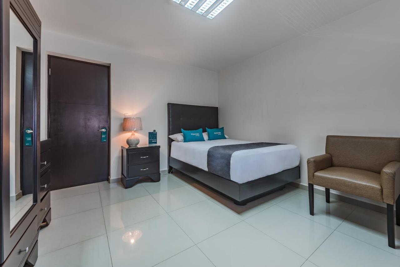 Apartment Ejecutivas Monterrey