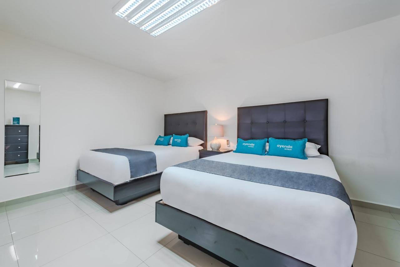Ejecutivas Apartment