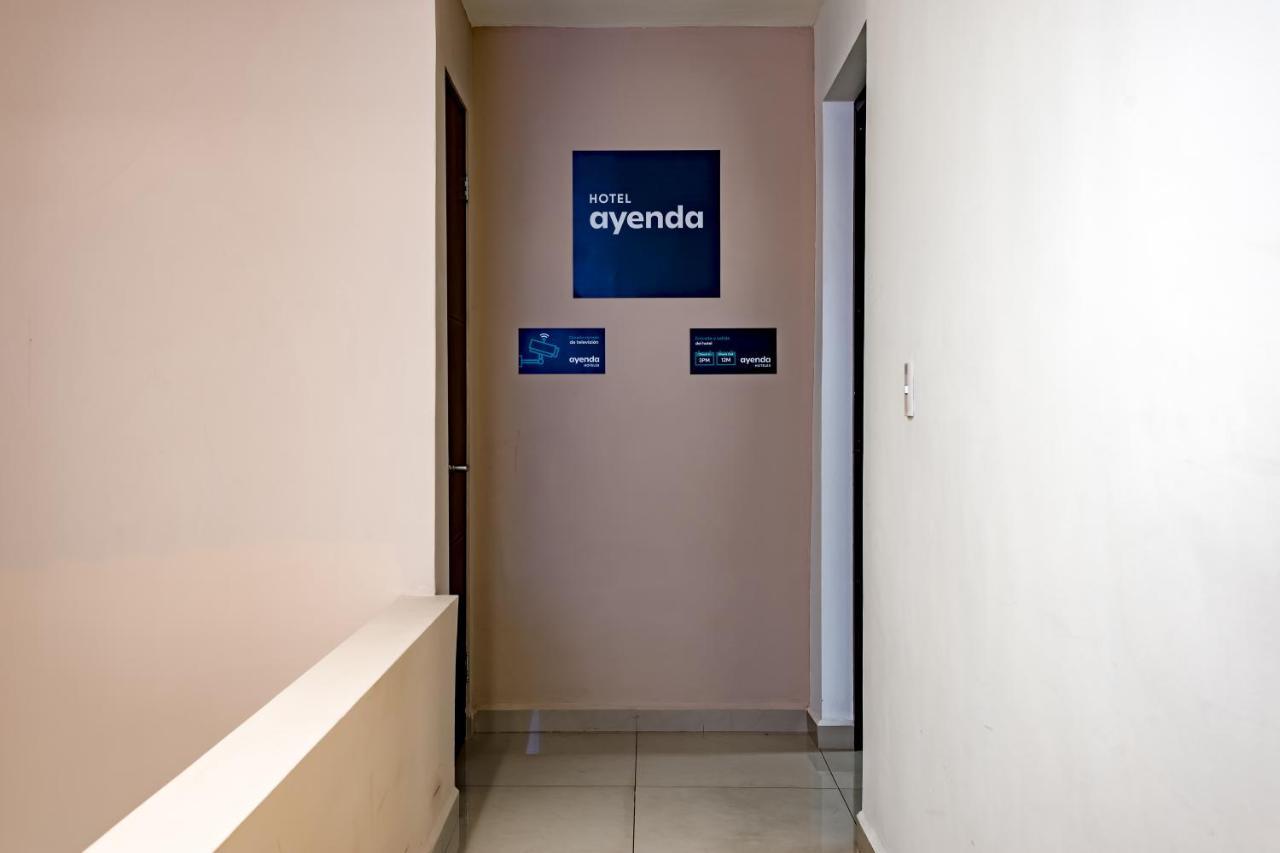 Apartment Ejecutivas