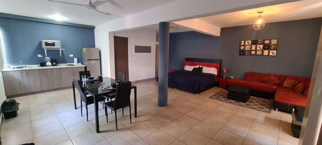 La Roma Zona Tec - San Pedro Zona Valle Ote. Apartamento