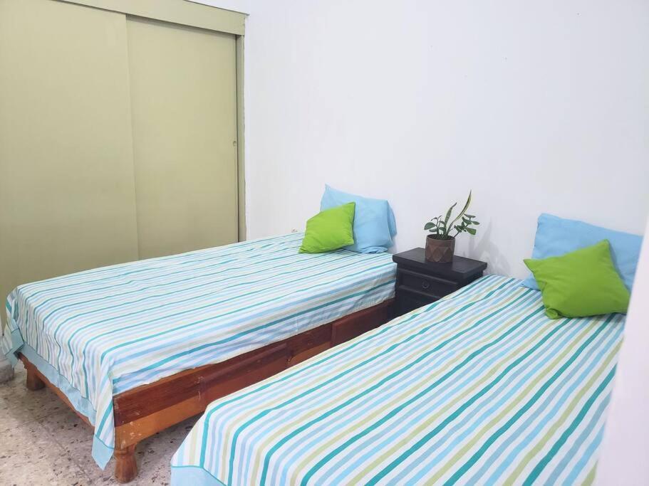 Apartamento Estadio Borregos Tec