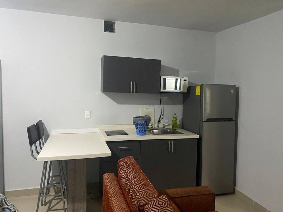 Apartment Loft Hermoso En Guadalupe Bbva *