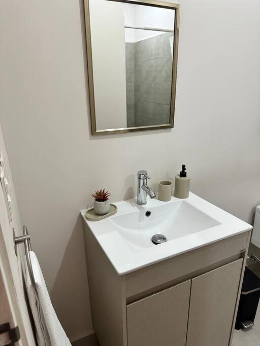 Apartamento Departamento Arena Vive