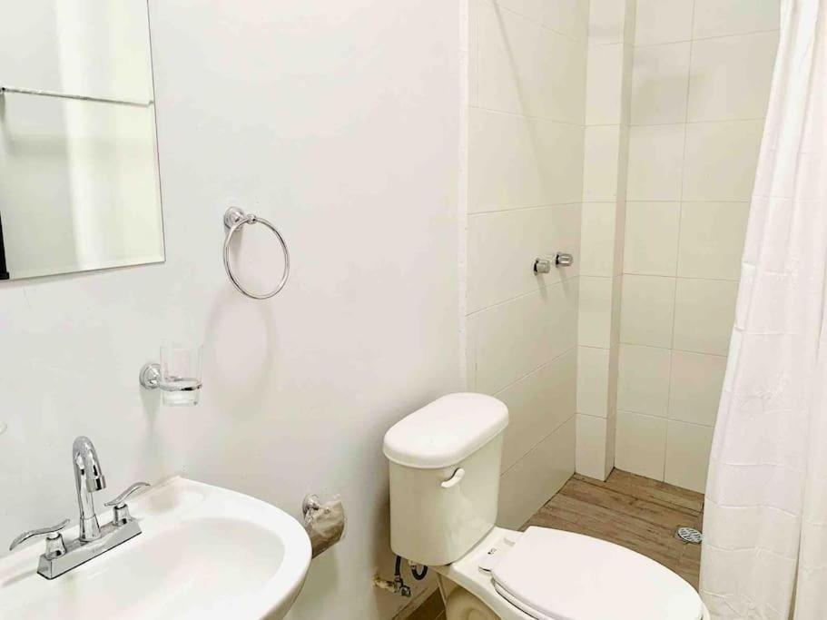 Loft Hermoso Con Estacionamiento Gratuito Apartment *