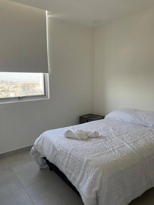 Estilo Y Comodidad En Monterrey