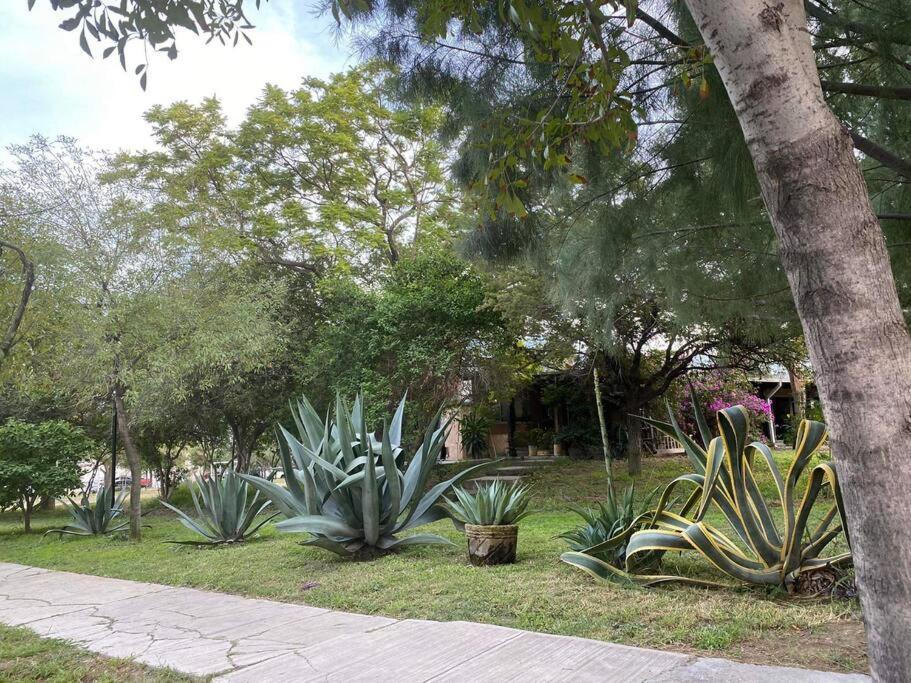 Apartamento Bonito Depto Equipado Cocina Cerca Consulado Eu Monterrey