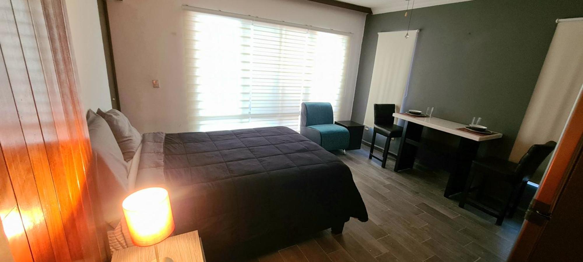 La Roma Zona Tec - San Pedro Zona Valle Ote. Apartment