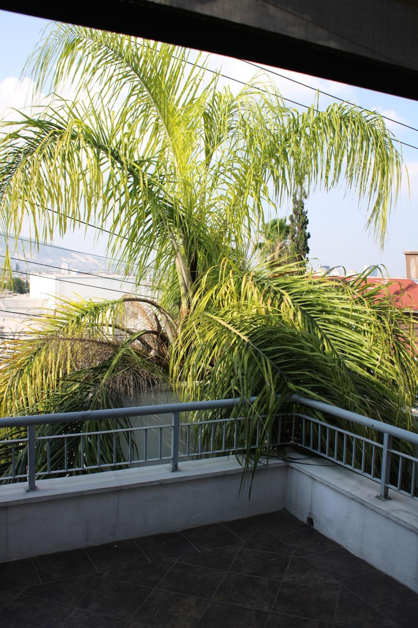 Casa Amplia En Monterrey