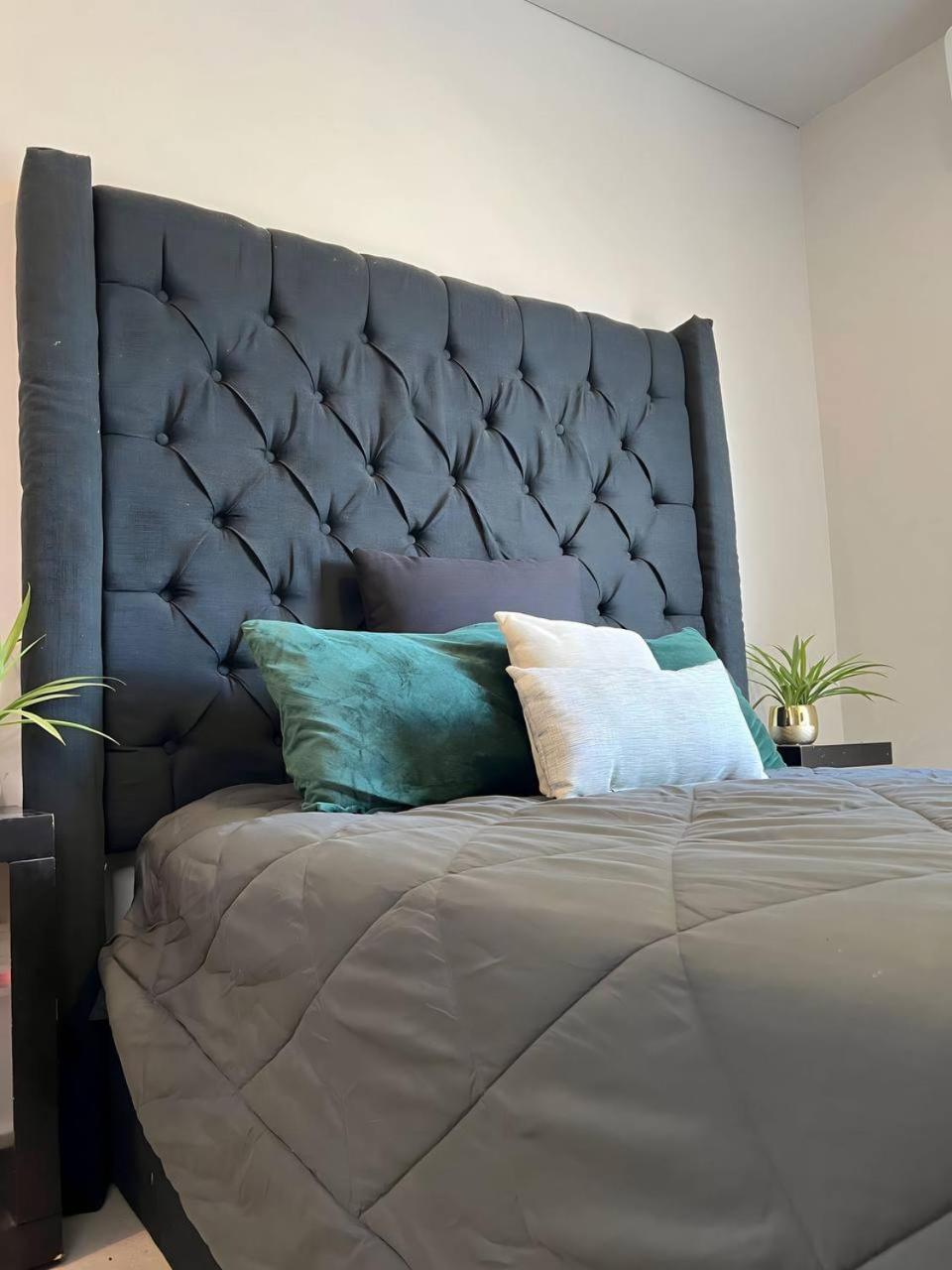 Apartamento Departamento Completo En El Corazon De La Ciudad De Mty *