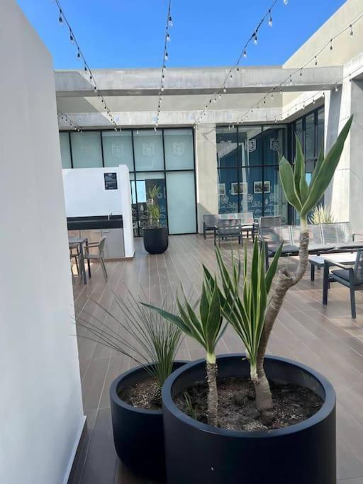 Departamento Completo En El Corazon De La Ciudad De Mty Apartamento Monterrey