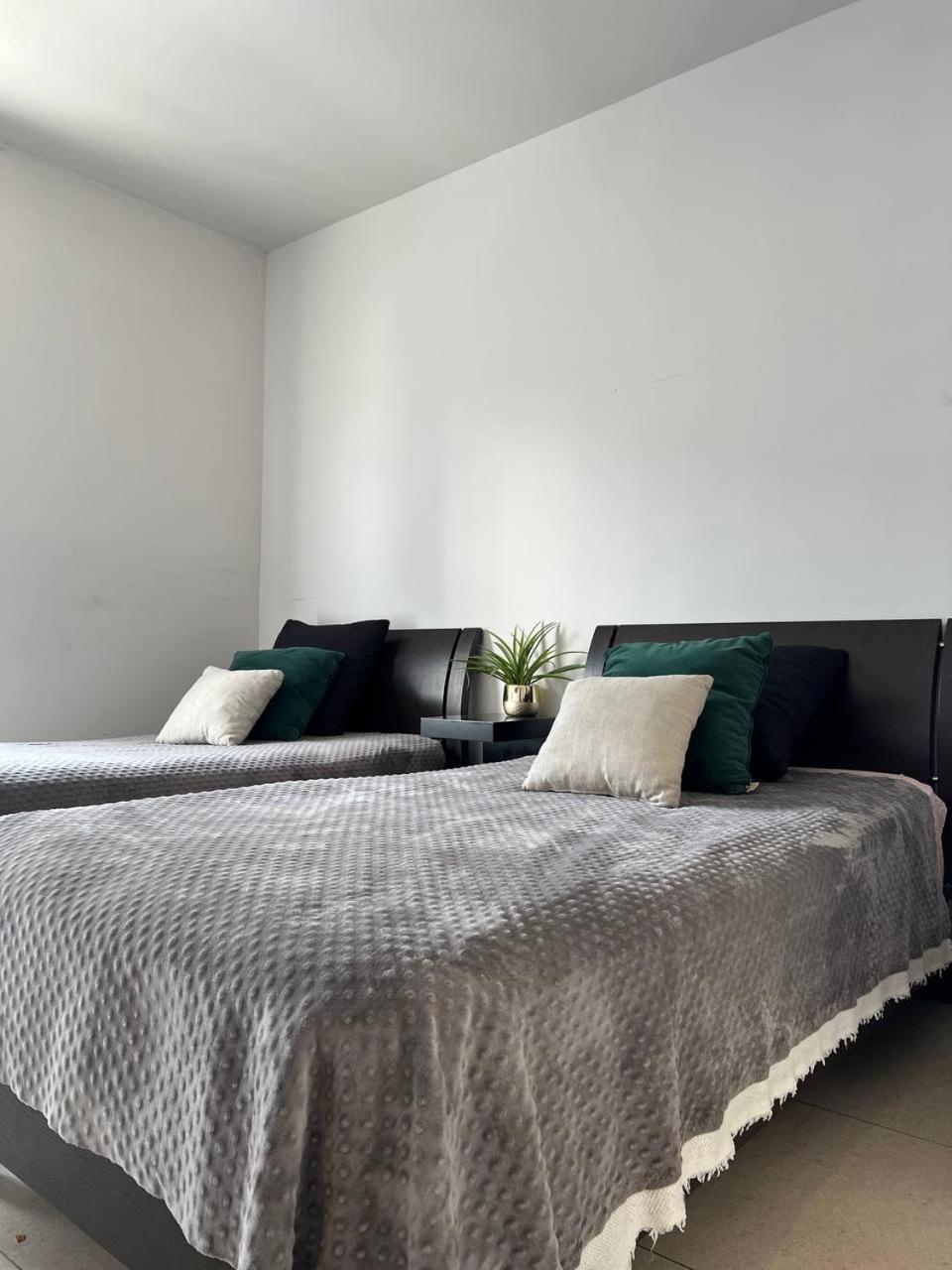 Departamento Completo En El Corazon De La Ciudad De Mty