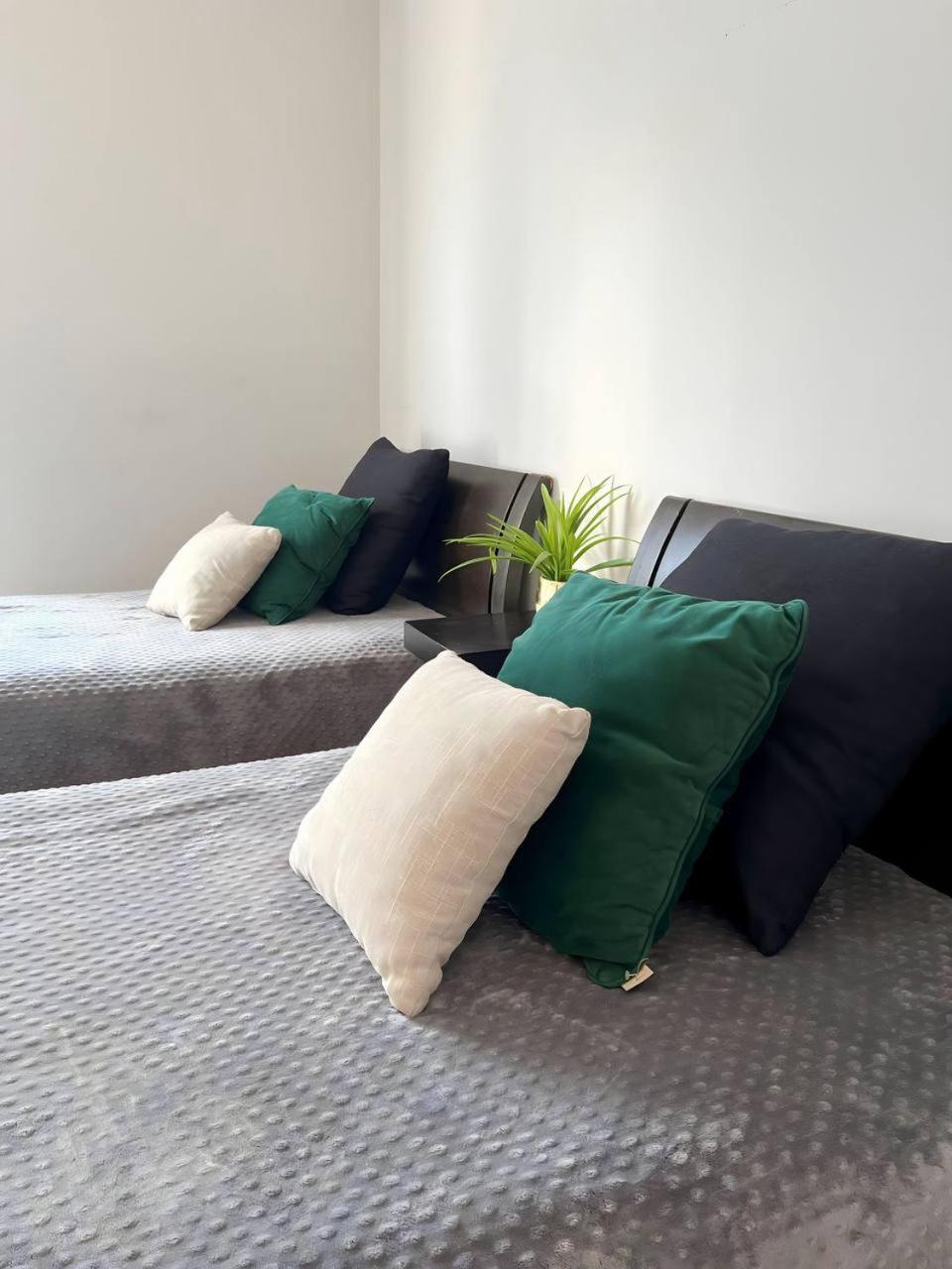 Apartamento Departamento Completo En El Corazon De La Ciudad De Mty *