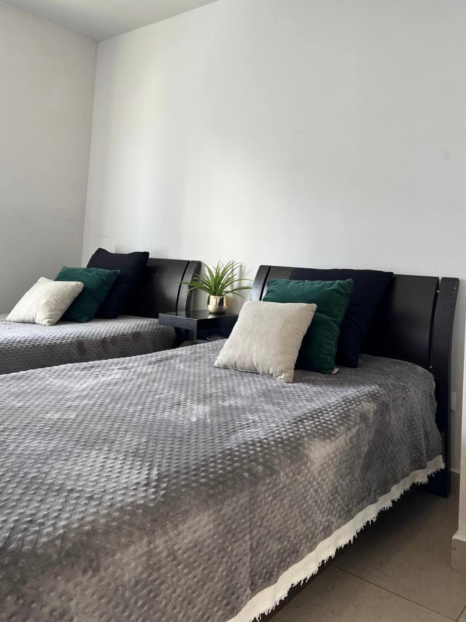 Departamento Completo En El Corazon De La Ciudad De Mty Apartamento Monterrey