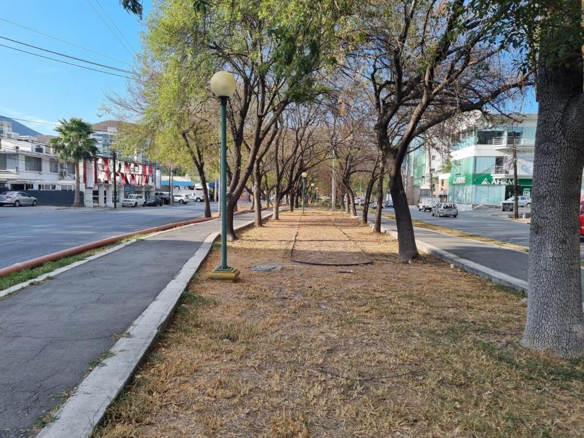 Apartamento Calzada San Pedro, Few Steps From Valle Monterrey