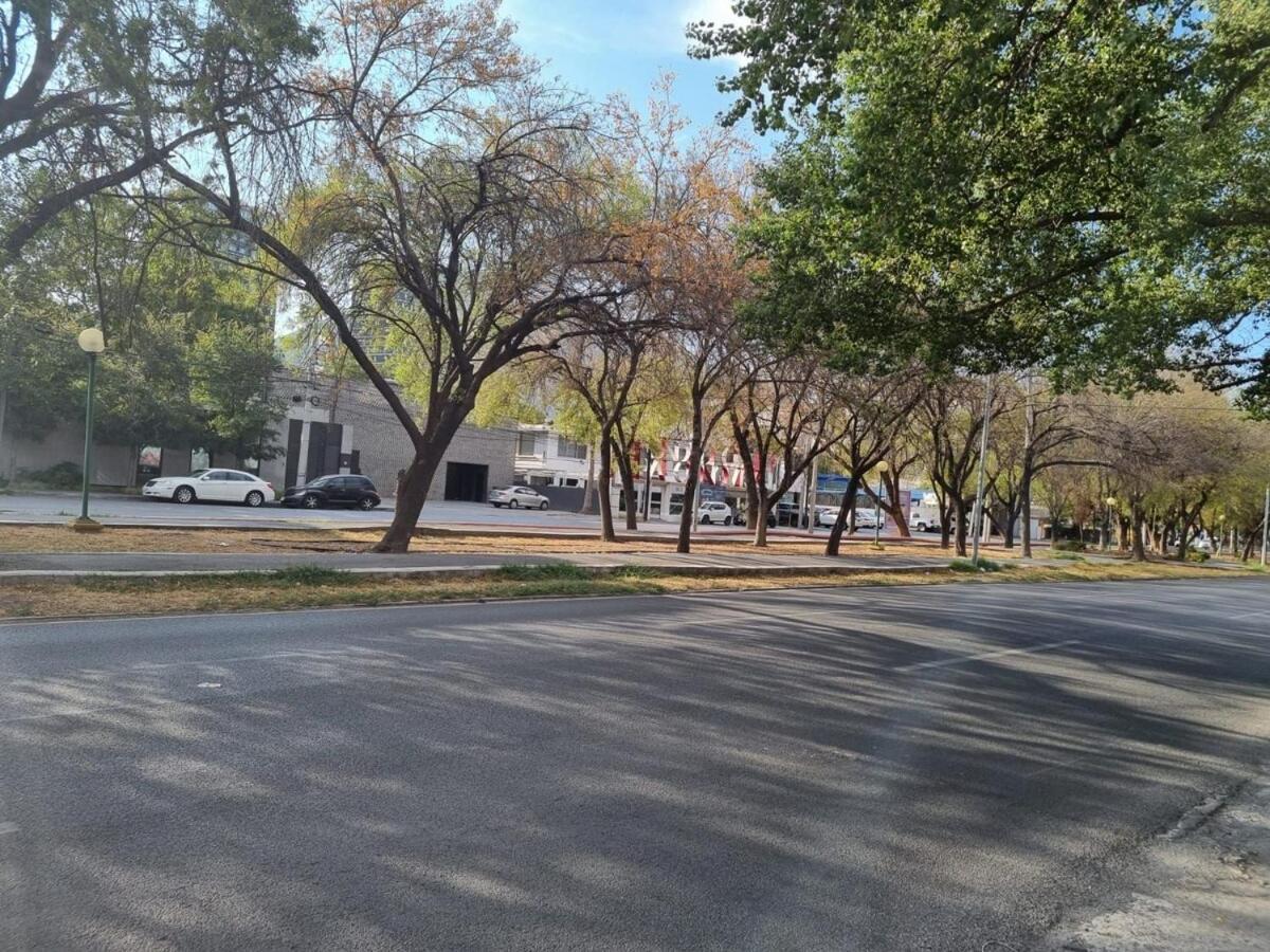 Calzada San Pedro, Few Steps From Valle Monterrey