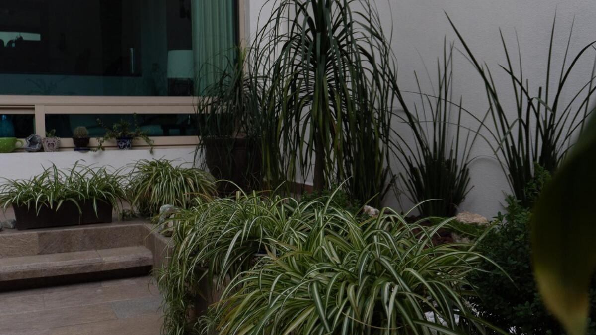 Holiday home Casa Unica Recientemente Renovada *