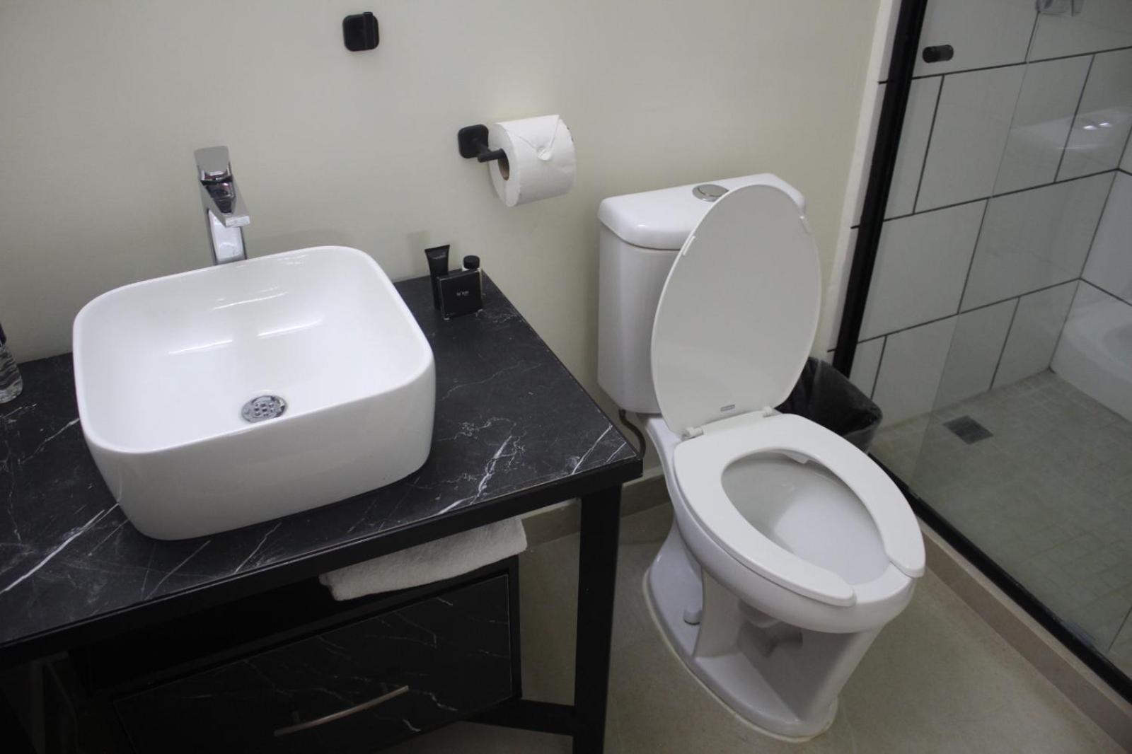 Apartamento Departamentos Exclusivos, Equipados Y Amueblados En Torre Barrio Vergel Monterrey