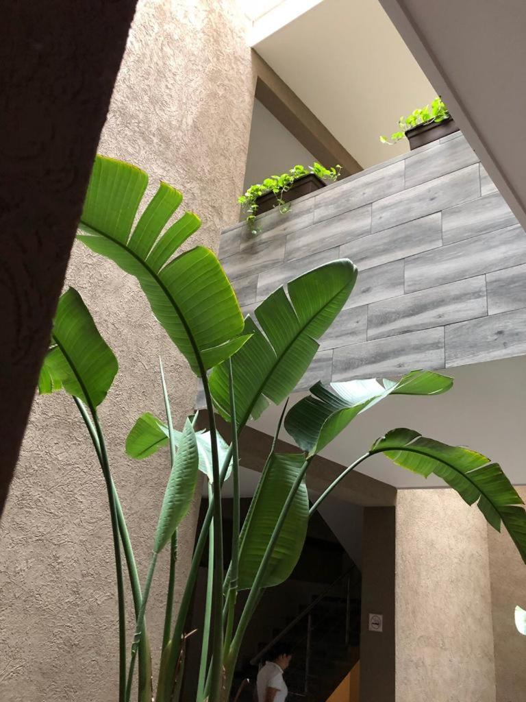 Hotel Plaza Arteaga Monterrey