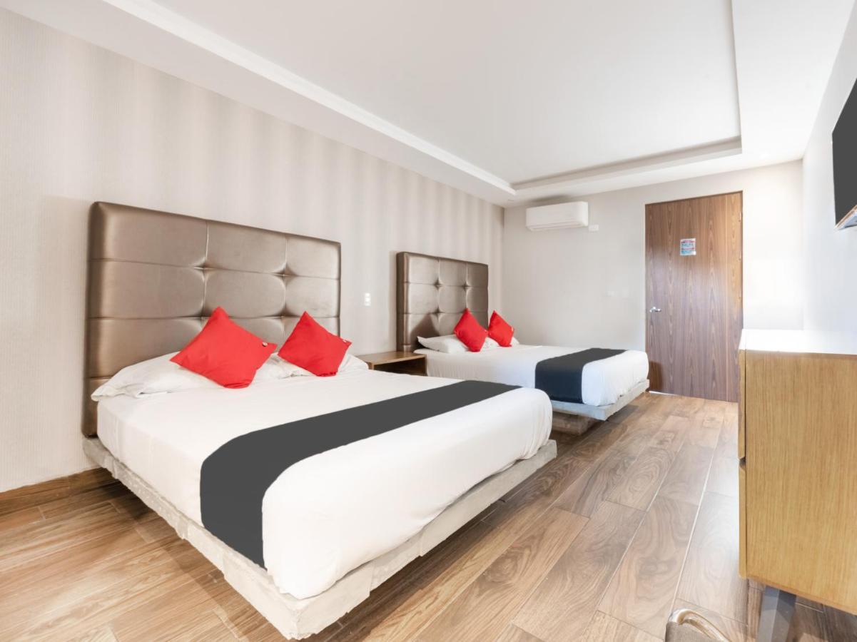 Hotel Hotel 202 Monterrey
