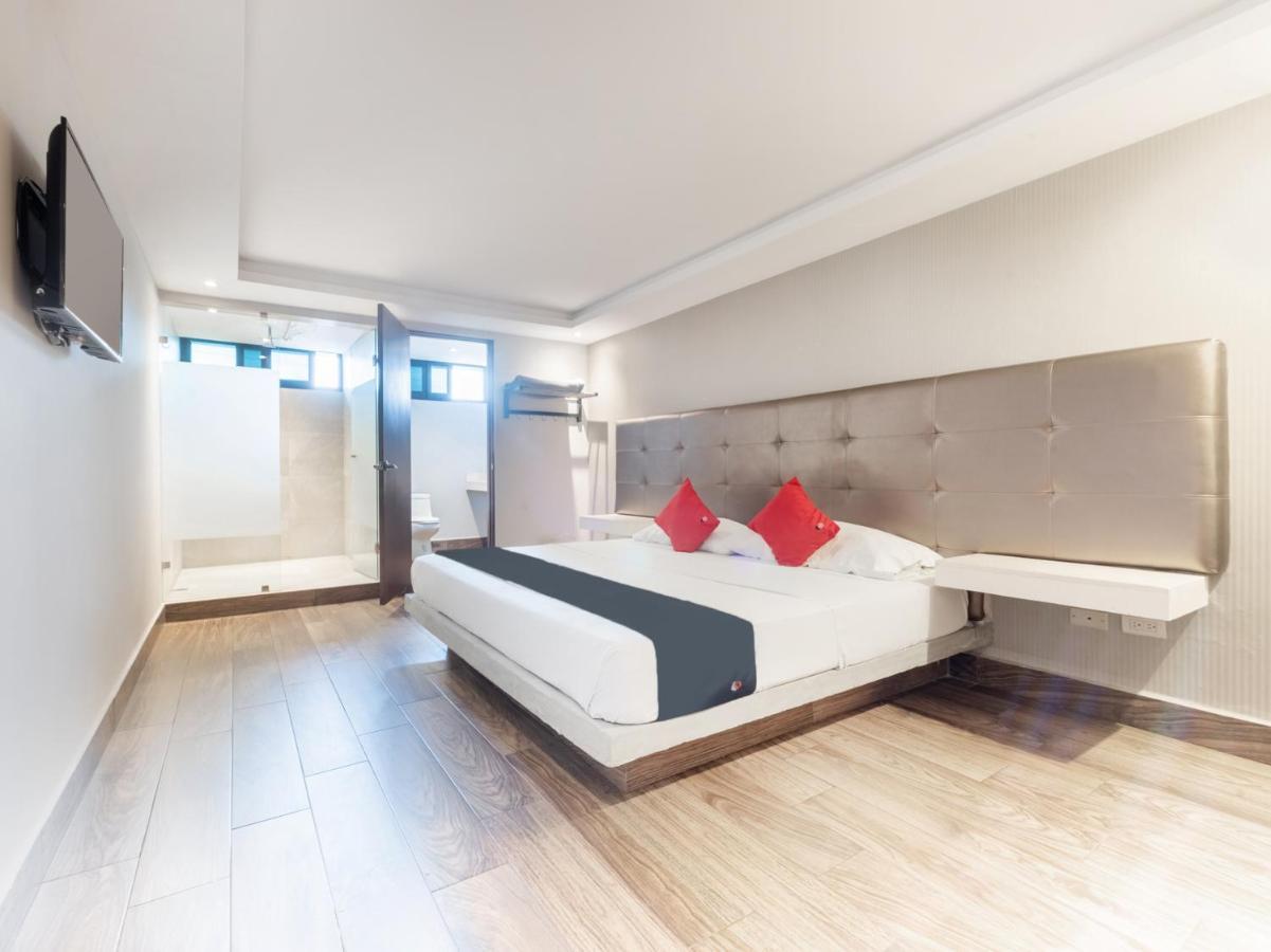 Hotel Hotel 202 Monterrey