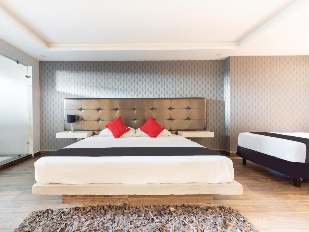 Hotel 202 Hotel Monterrey