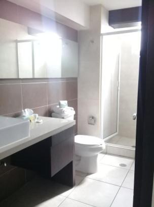 Hotel Confort Ejecutivo Suites Del Valle 4*