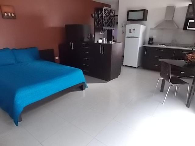 Hotel Confort Ejecutivo Suites Del Valle 4*