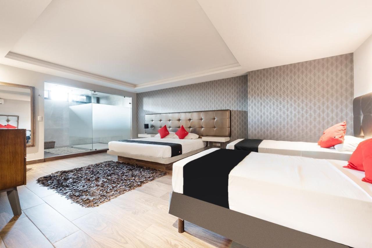 Hotel 202 Monterrey