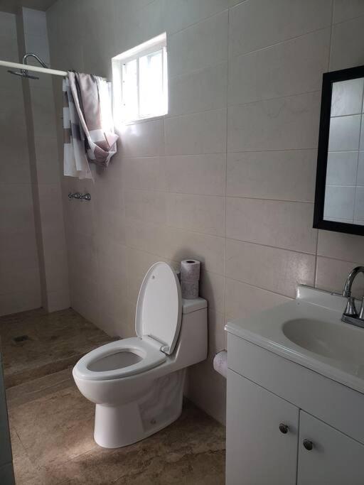 Petit Y Comodo Loft En La Ciudad. *
